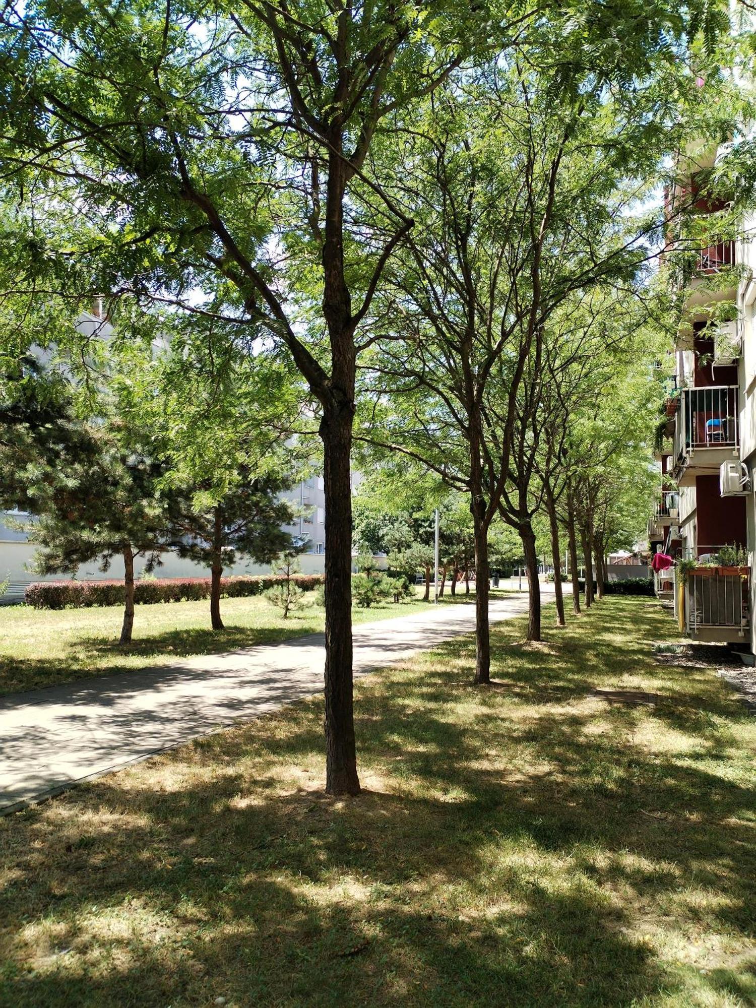 Apartman Ivana Zagreb Exterior photo